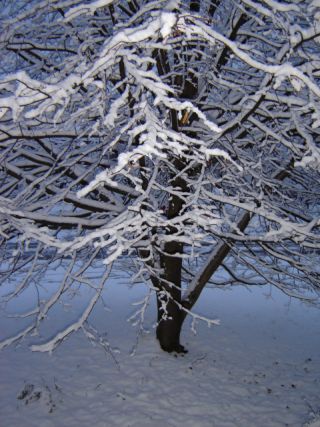 First snow 2006-2007